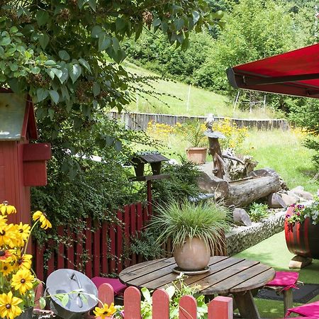 Gite Chez Mimie Breitenbach-Haut-Rhin Dış mekan fotoğraf