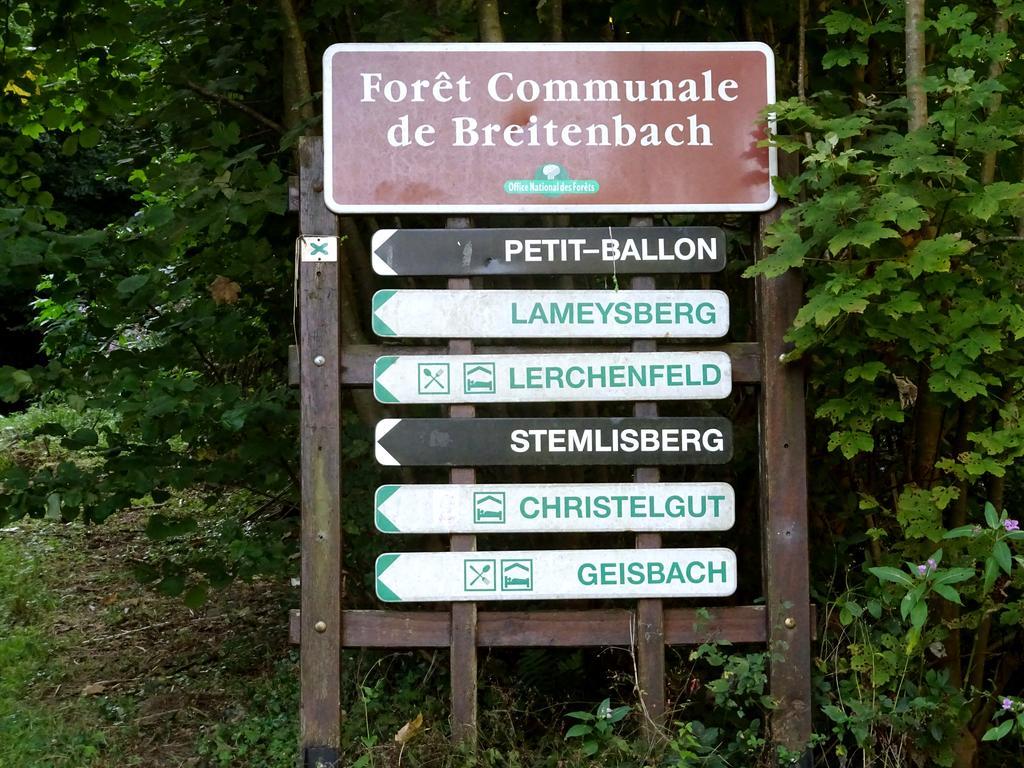 Gite Chez Mimie Breitenbach-Haut-Rhin Dış mekan fotoğraf
