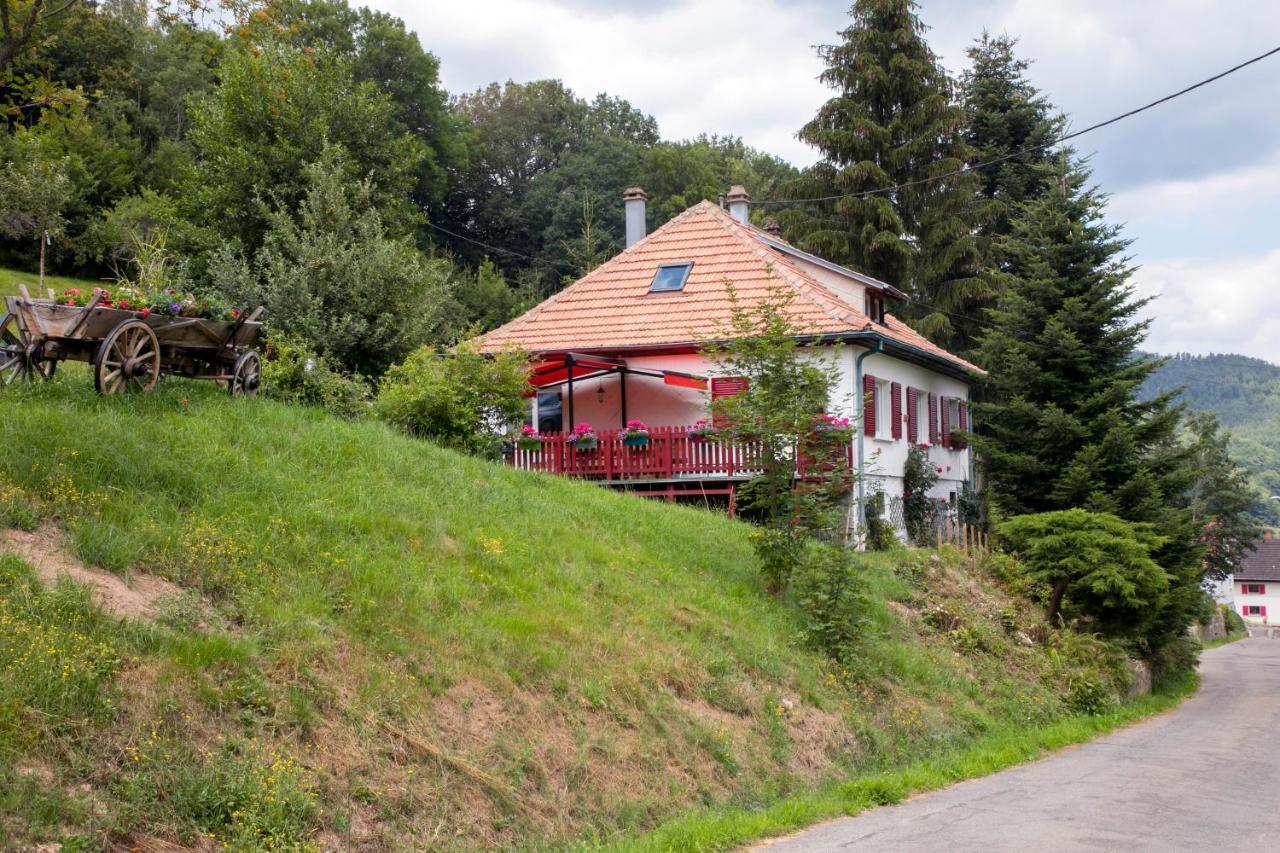 Gite Chez Mimie Breitenbach-Haut-Rhin Dış mekan fotoğraf