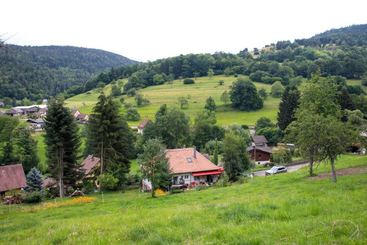 Gite Chez Mimie Breitenbach-Haut-Rhin Dış mekan fotoğraf