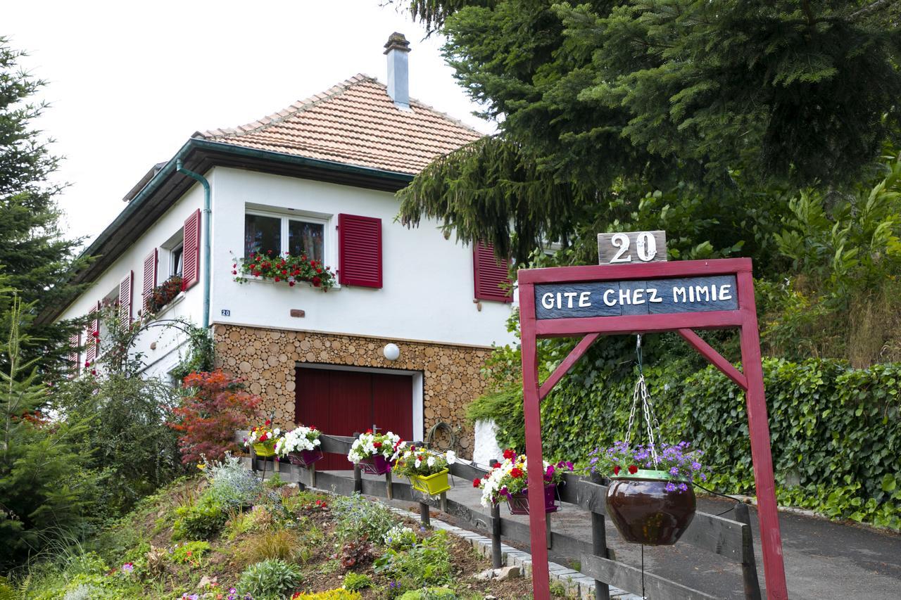 Gite Chez Mimie Breitenbach-Haut-Rhin Dış mekan fotoğraf